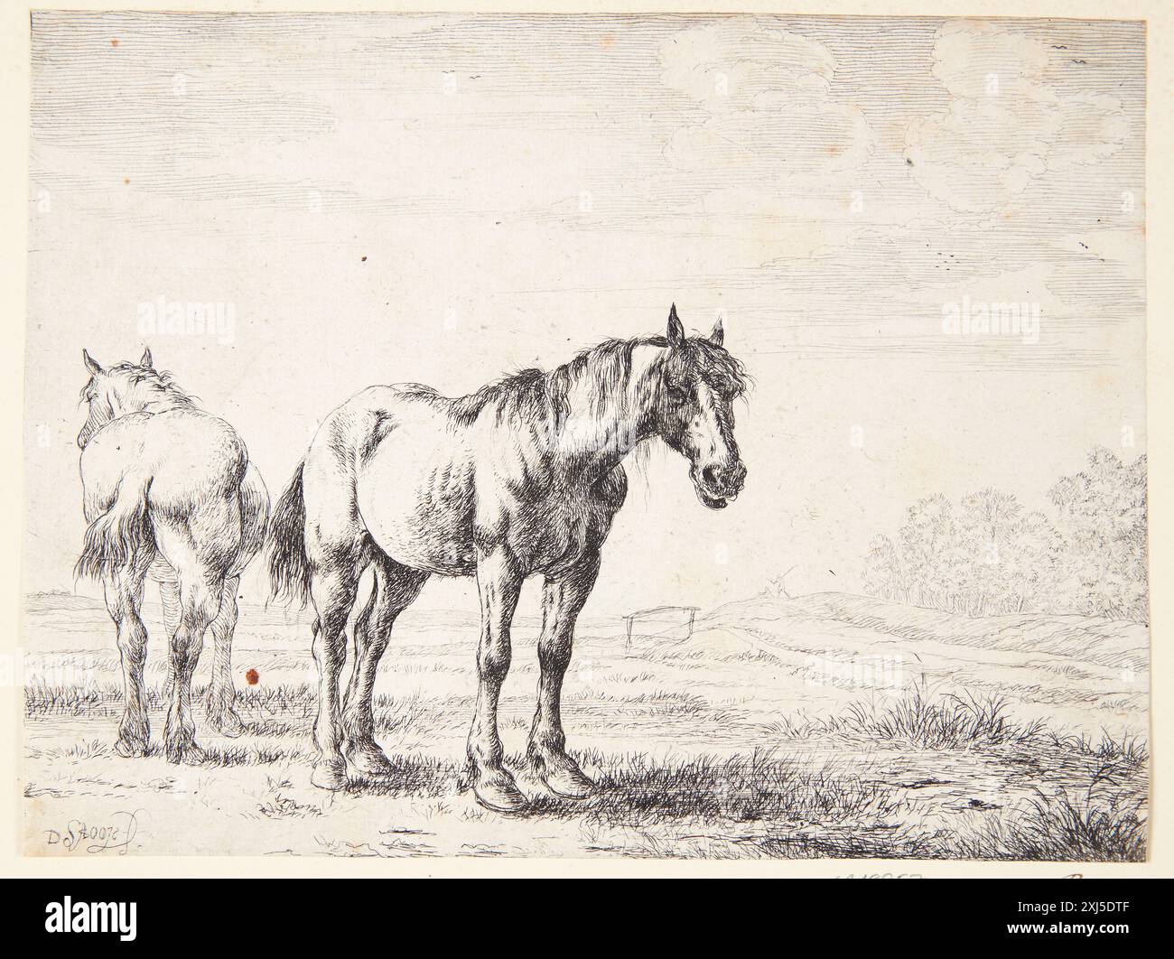 Un'incisione che mostra due cavalli dell'aratro, uno visto da dietro, raffigurante l'anatomia animale e l'attività agricola. Foto Stock