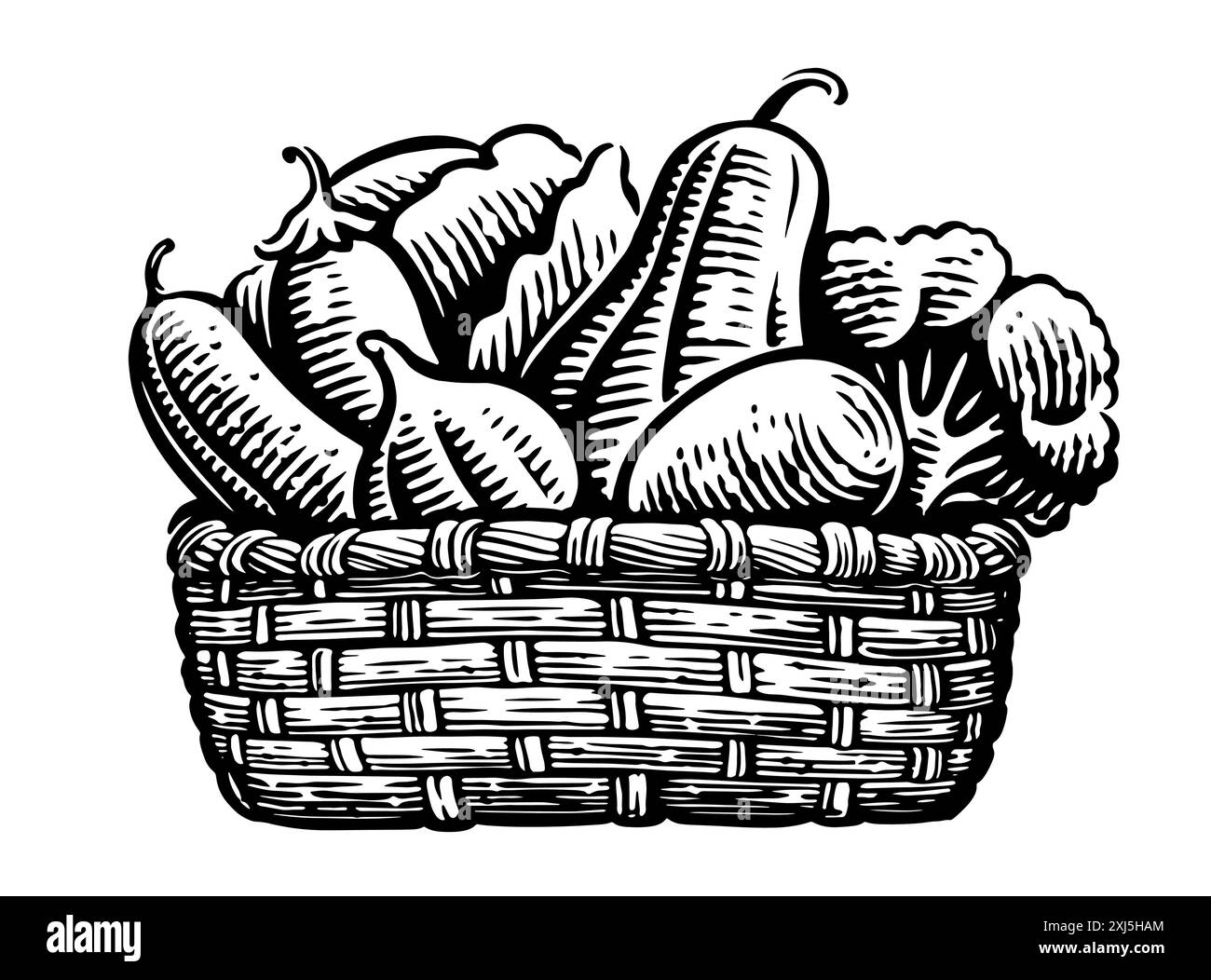 Verdure fresche da fattoria nel cestino. Cibo biologico. Illustrazione del vettore di schizzo disegnato a mano Illustrazione Vettoriale