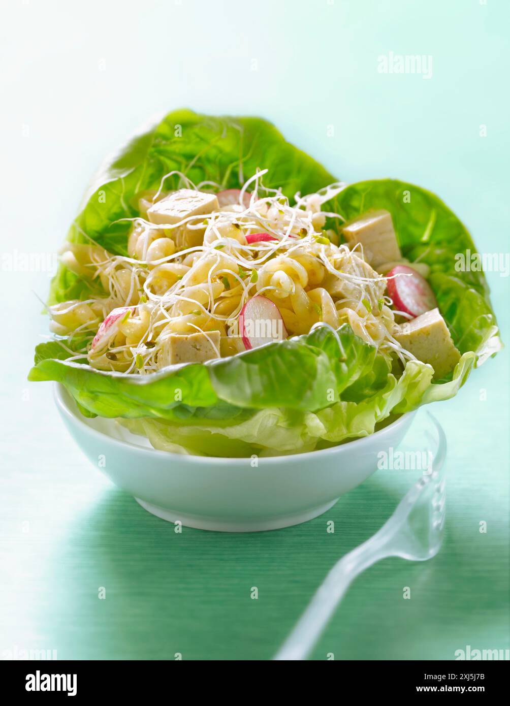 Insalata di pasta integrale con tofu, erba medica e ravanelli (tema: pasta in tutte le sue varianti) Foto Stock