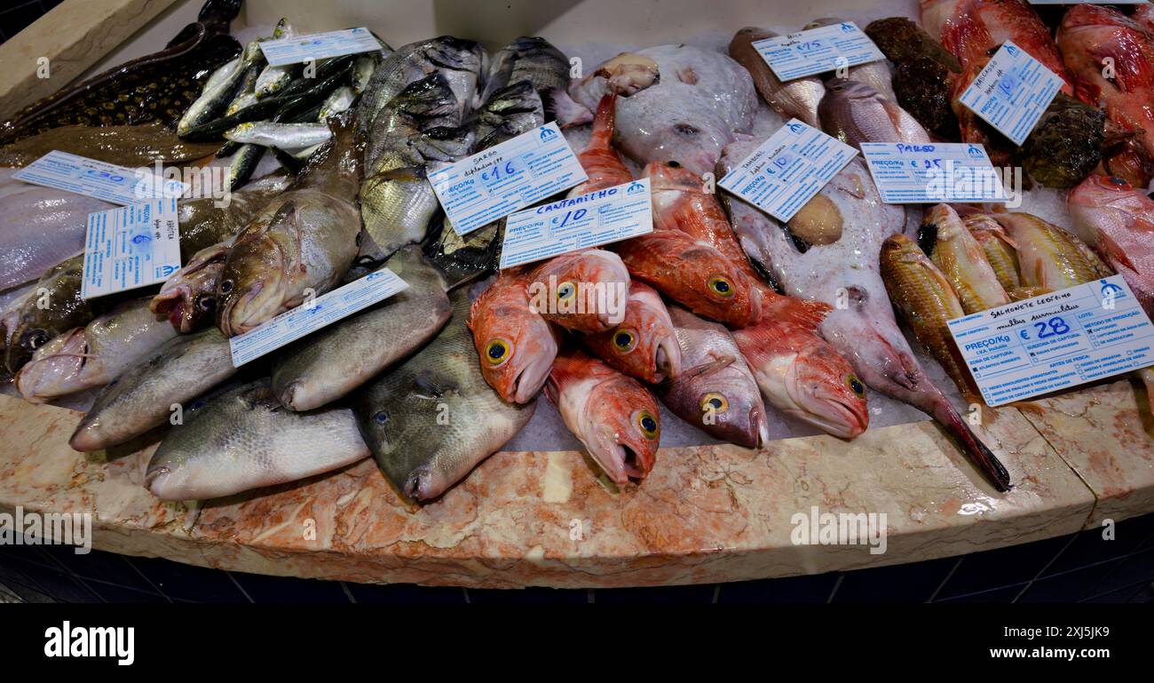 Bancone del pesce, pesce fresco, esposizione di pesce fresco, gurnard, rana, orata, branzino, ray, Market Hall, Mercado Municipal de Lagos, Lagos, Algarve Foto Stock