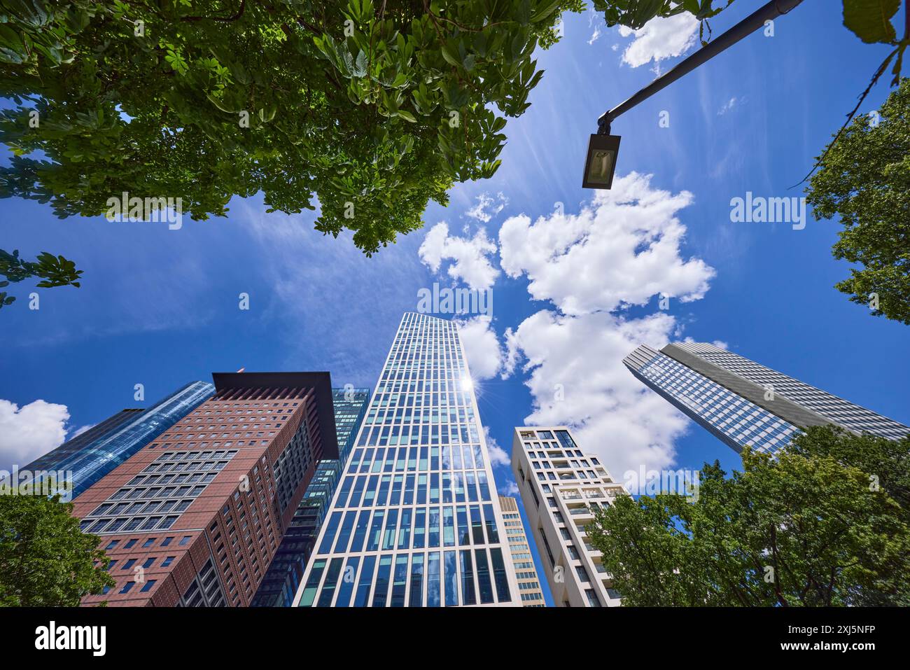 Grattacielo Japan Centre, Taunus Tower, una lanterna e un castagno sotto il cielo blu con piccole nuvole di cumulus dalla prospettiva delle rane a Francoforte Foto Stock