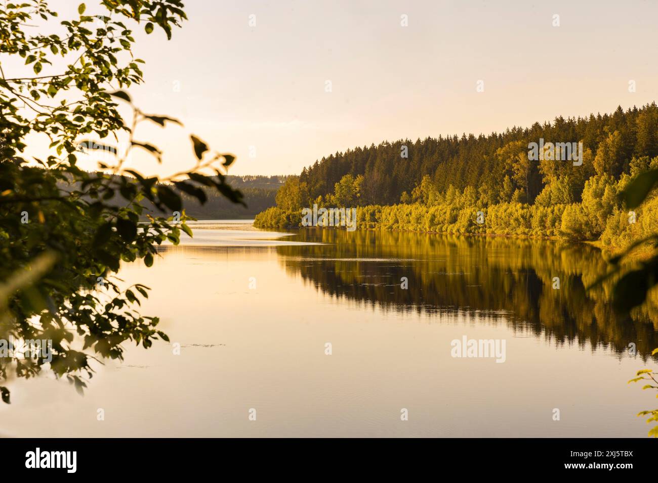 La diga di Lehnmuehle è una diga dello Stato libero di Sassonia. Si trova nell'Osterzgebirge, nel distretto di Saechsische Schweiz-Osterzgebirge Foto Stock