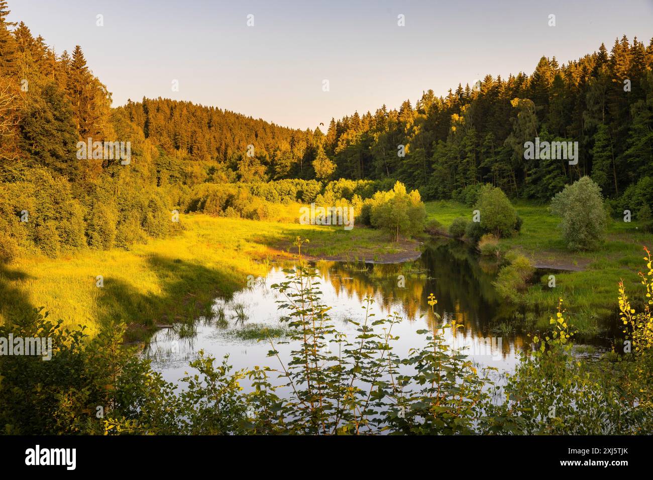 La diga di Lehnmuehle è una diga dello Stato libero di Sassonia. Si trova nell'Osterzgebirge, nel distretto di Saechsische Schweiz-Osterzgebirge Foto Stock