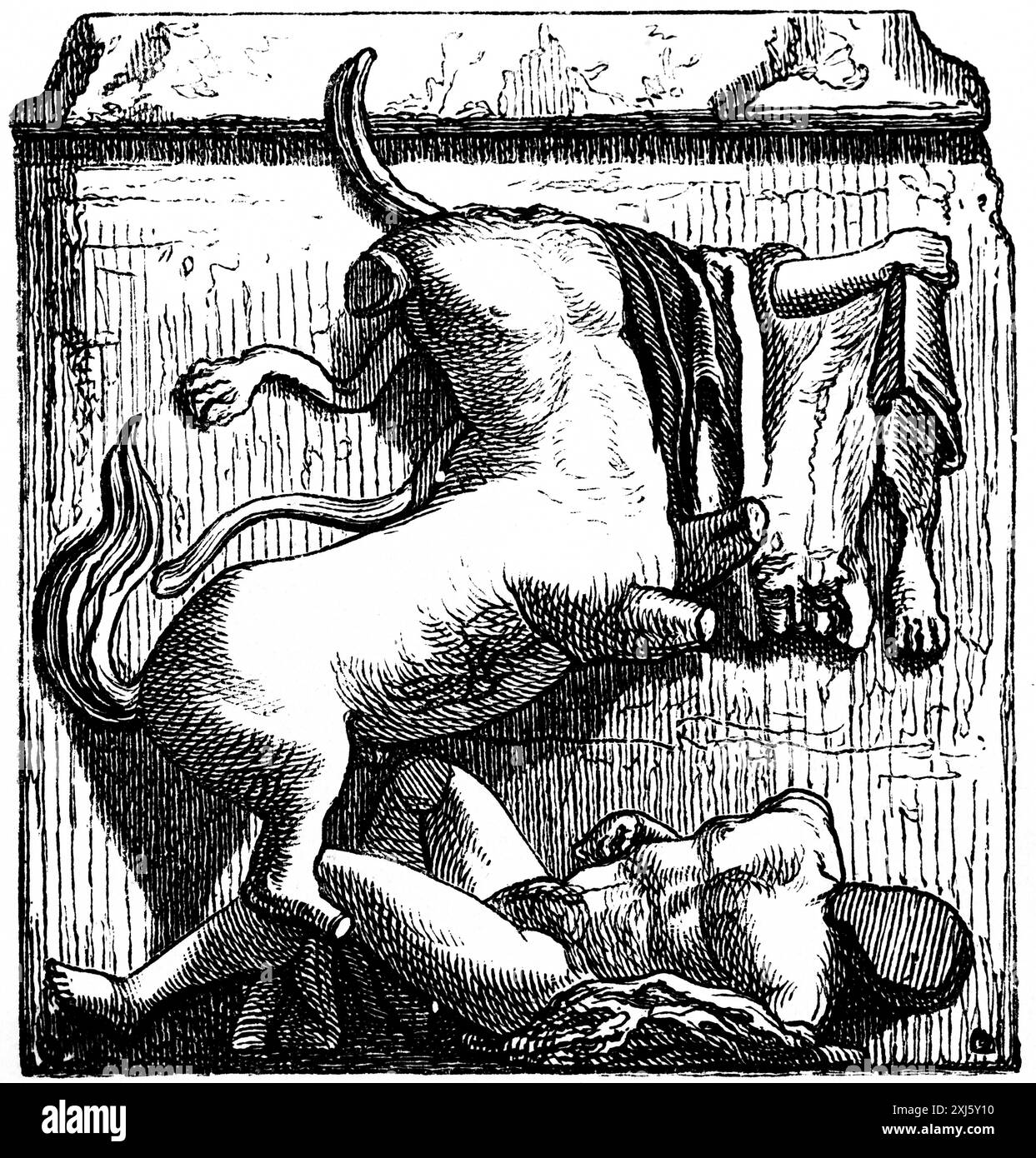 Rilievo Metope con una mitica scena di battaglia, dal Partenone. Acropoli Atene, toro, uomo, greci nell'antichità, illustrazione storica ca. 1890 Foto Stock