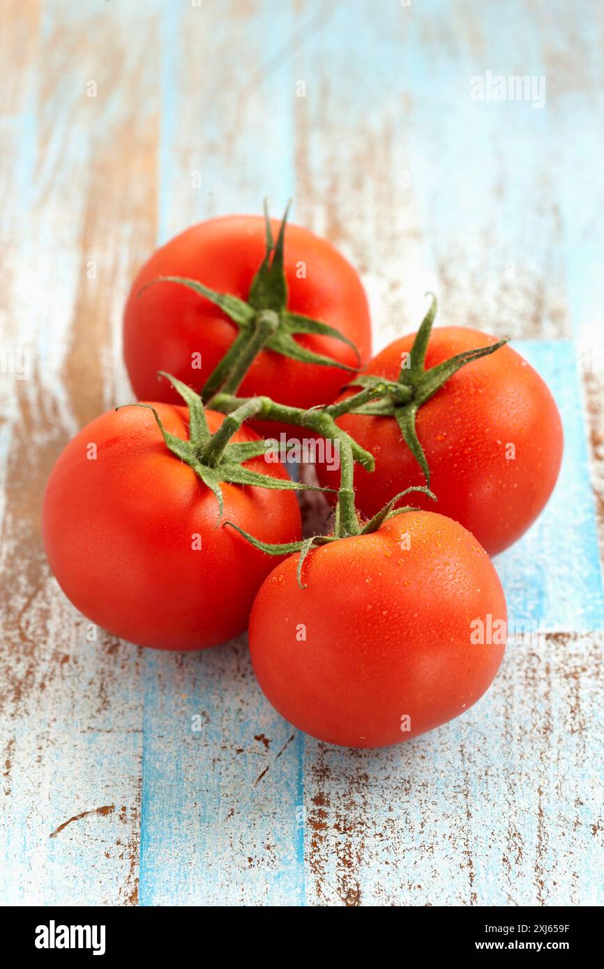 Grappolo di pomodori Foto Stock