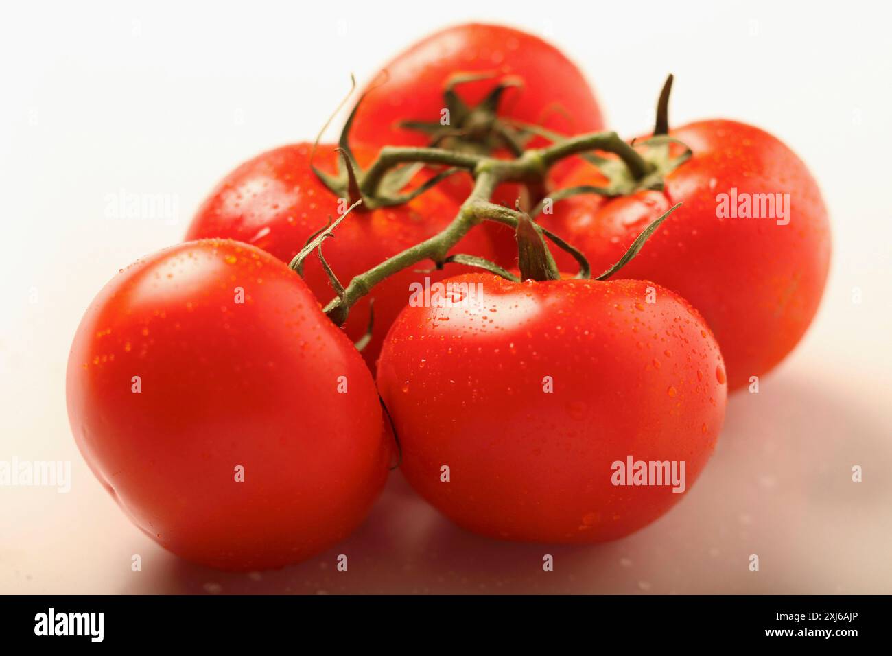 Grappolo di pomodori Foto Stock