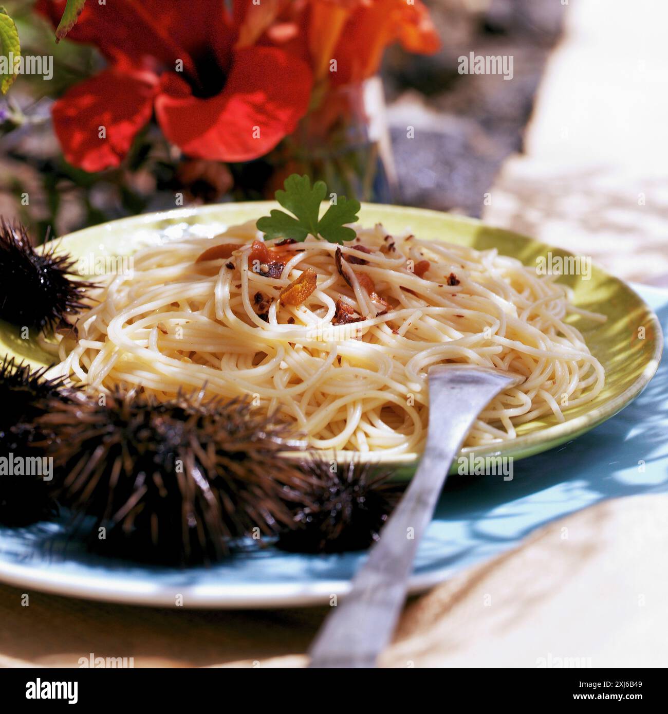Spaghetti con ricci di mare Foto Stock