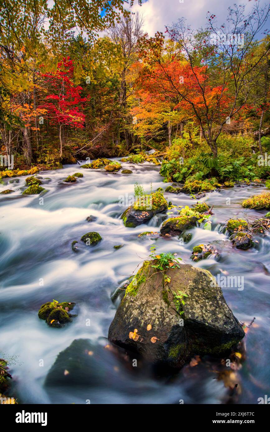 Fiume che scorre attraverso un paesaggio forestale autunnale, Hokkaido, Giappone Foto Stock