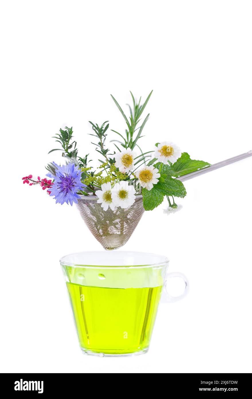 Infusione mista di fiori ed erbe aromatiche su sfondo bianco Foto Stock