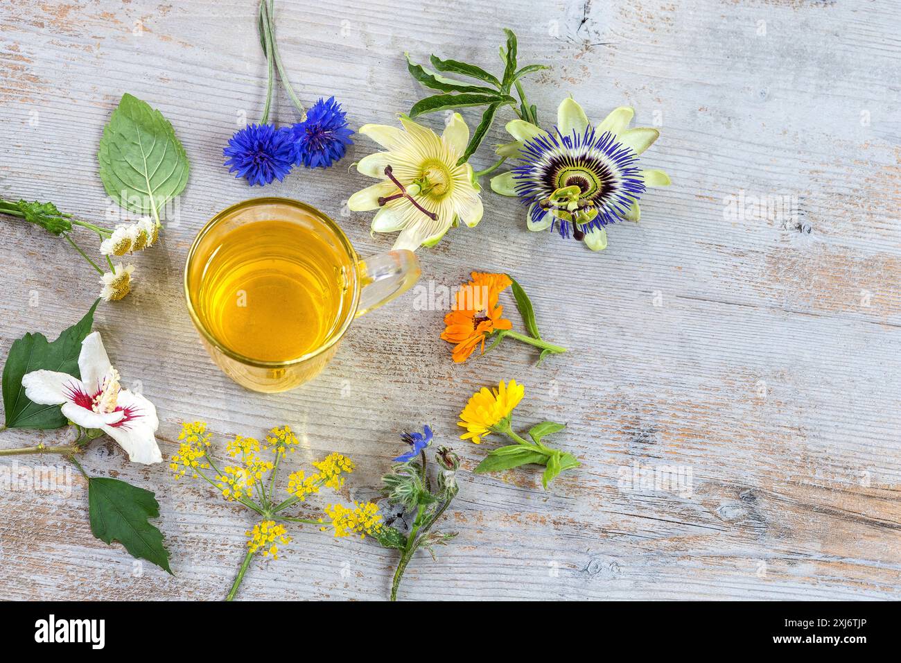 Infusione mista di fiori e erbe aromatiche Foto Stock