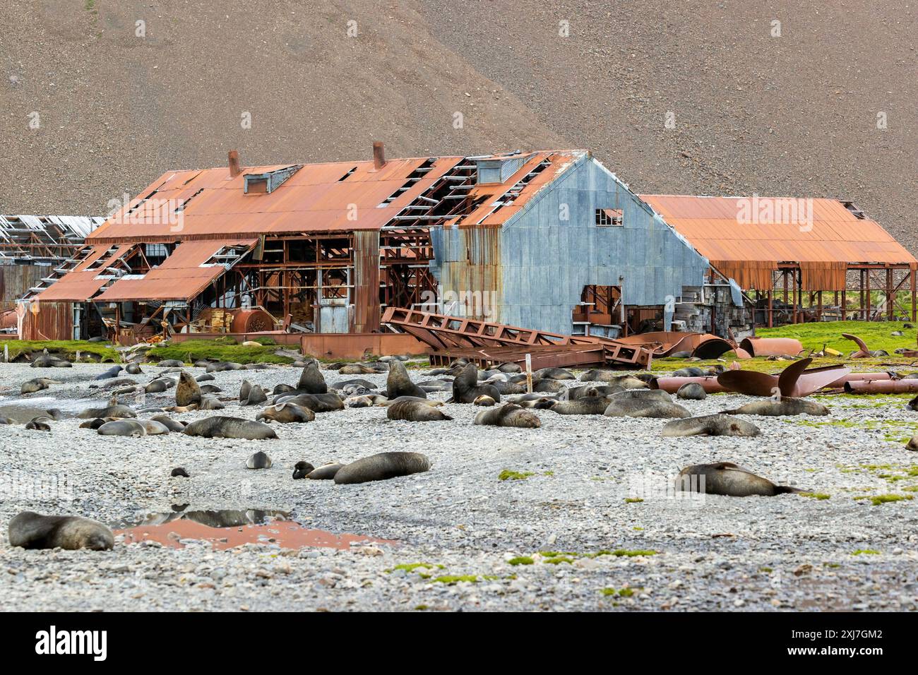 Abandoned Whaling Station, Stromness, Georgia del Sud, mercoledì, 29 novembre, 2023. foto: David Rowland / One-Image.com Foto Stock