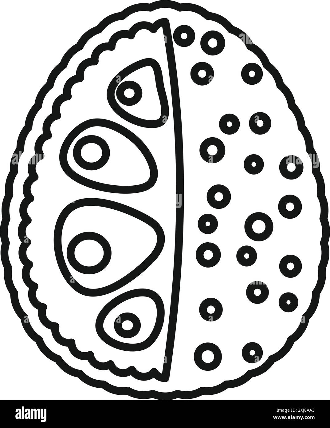 Semplice disegno lineare di un seme di avocado che mostra tre fasi di crescita all'interno della sezione trasversale del frutto Illustrazione Vettoriale