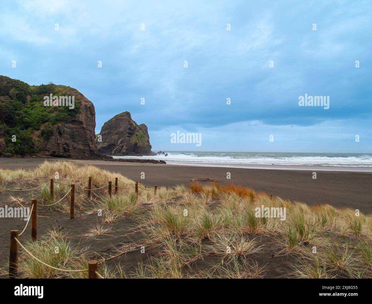 Ambiente selvaggio e panoramico della costa occidentale a Piha, nuova Zelanda. Foto Stock