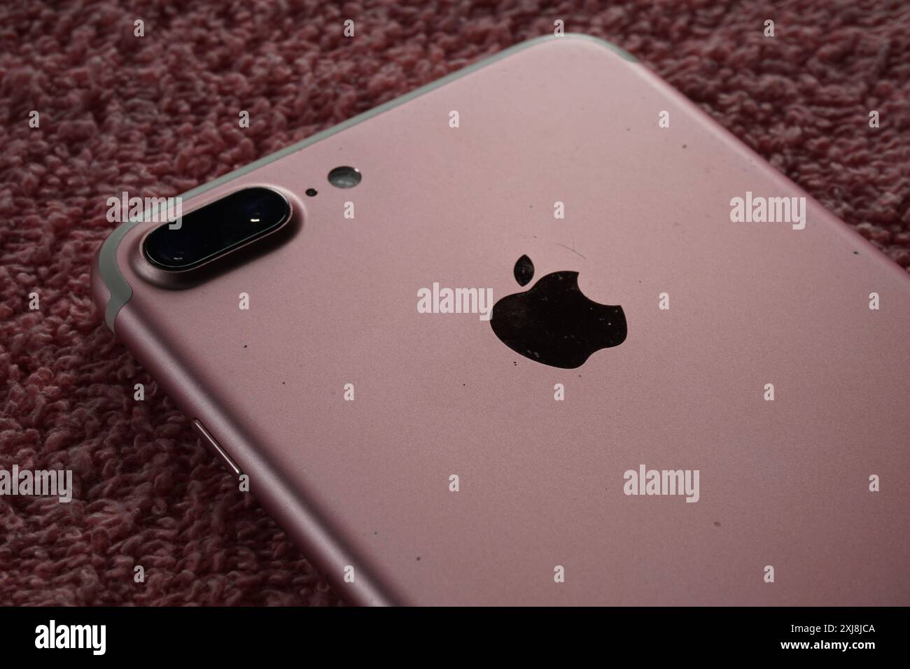 Terengganu, Malesia - 2 agosto 2024 : primo piano di iphone 7 mela rosa più telefono su sfondo rosso. Dispositivo iphone con pannello posteriore. Logo Apple iphone. Foto Stock