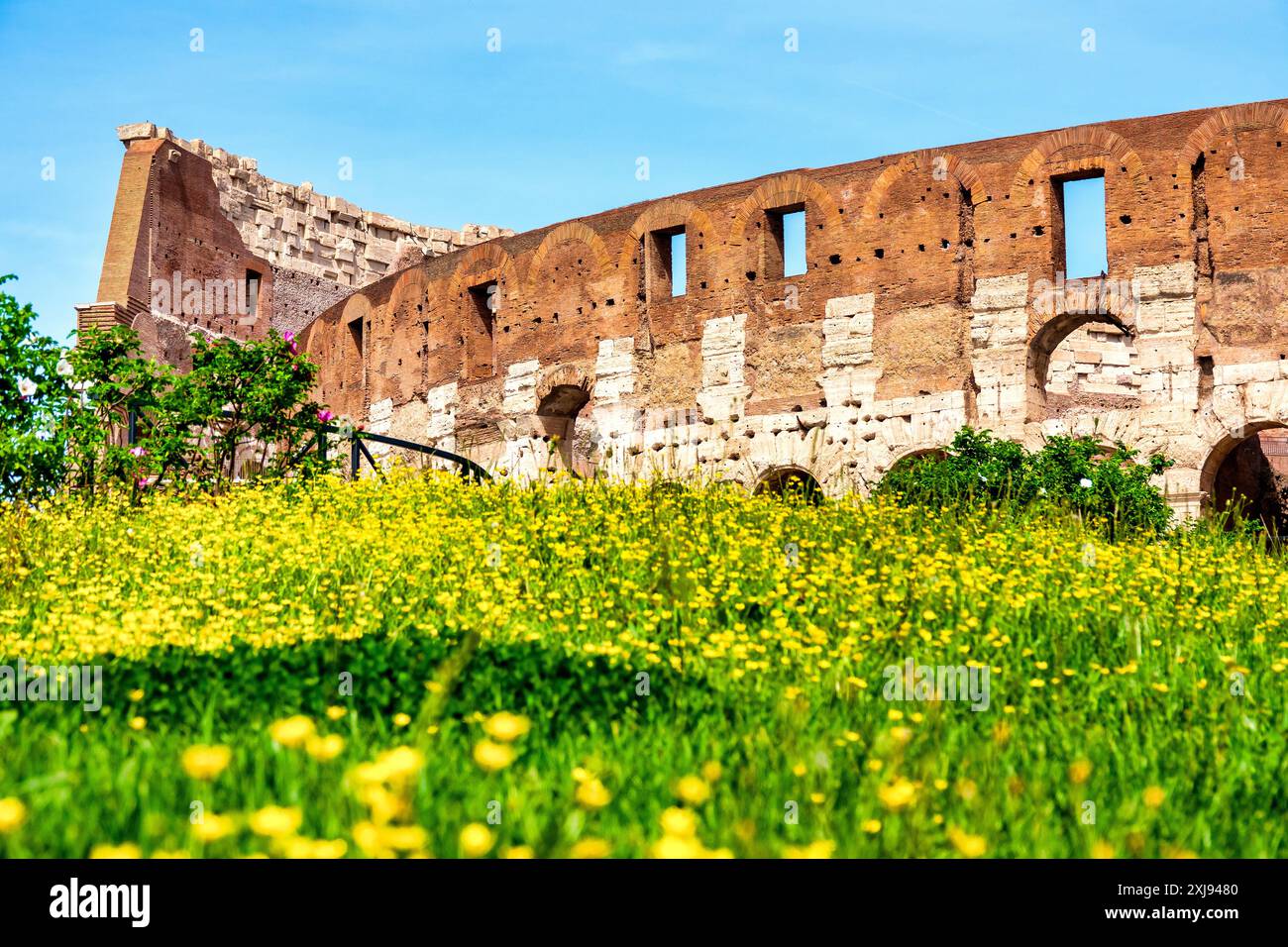 Fiori di fronte al Colosseo , Roma, Italia Foto Stock