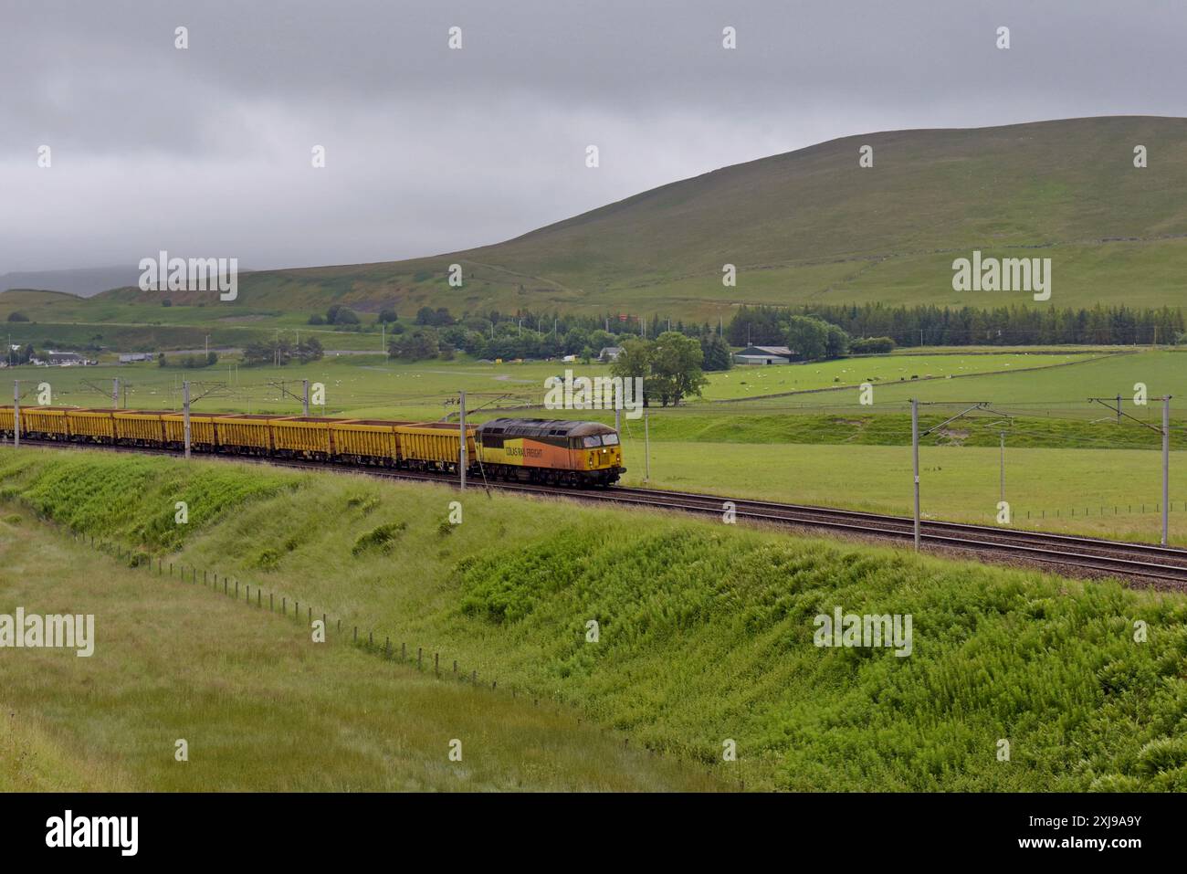 Colas Rail Freight 56105 con vagoni aggregati vuoti diretti a nord sulla West Coast Main Line vicino a Beattock, Scozia, Regno Unito. 3 luglio 2024 Foto Stock