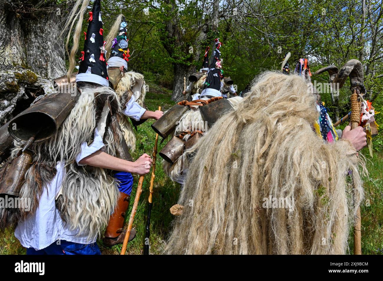 I membri di la Vijanera a Silió, Santander, Spagna, indossano costumi vivaci ed elaborati per celebrare una delle più antiche tradizioni carnevalesche d'Europa. Questo antico festival, con origini risalenti all'epoca pre-romana, presenta partecipanti a maschere animali, nastri colorati e campane, simboleggiando il trionfo del bene sul male e l'arrivo del nuovo anno. Foto Stock