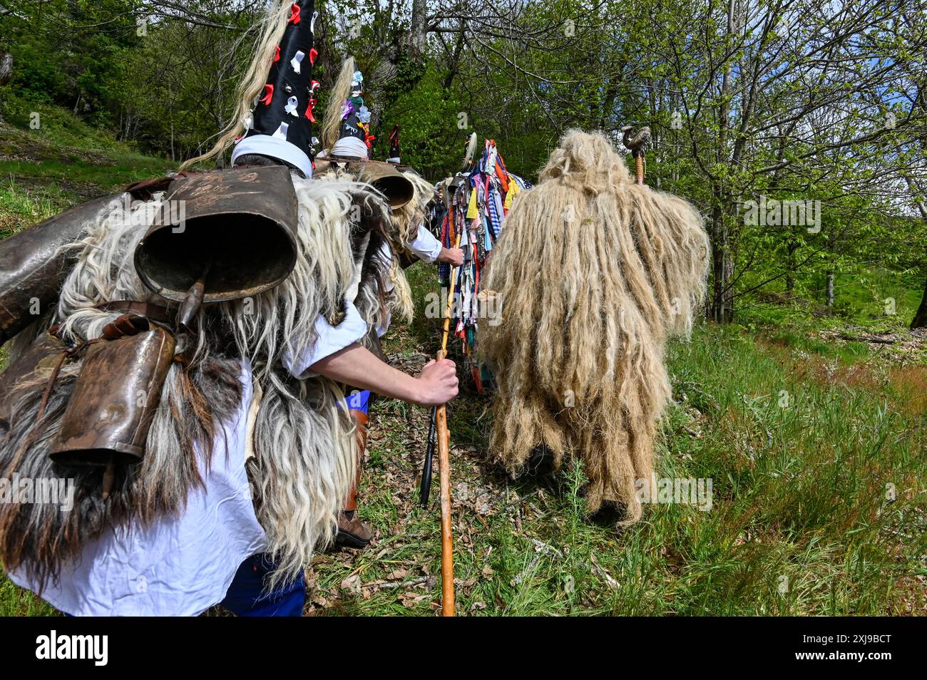 I membri di la Vijanera a Silió, Santander, Spagna, indossano costumi vivaci ed elaborati per celebrare una delle più antiche tradizioni carnevalesche d'Europa. Questo antico festival, con origini risalenti all'epoca pre-romana, presenta partecipanti a maschere animali, nastri colorati e campane, simboleggiando il trionfo del bene sul male e l'arrivo del nuovo anno. Foto Stock
