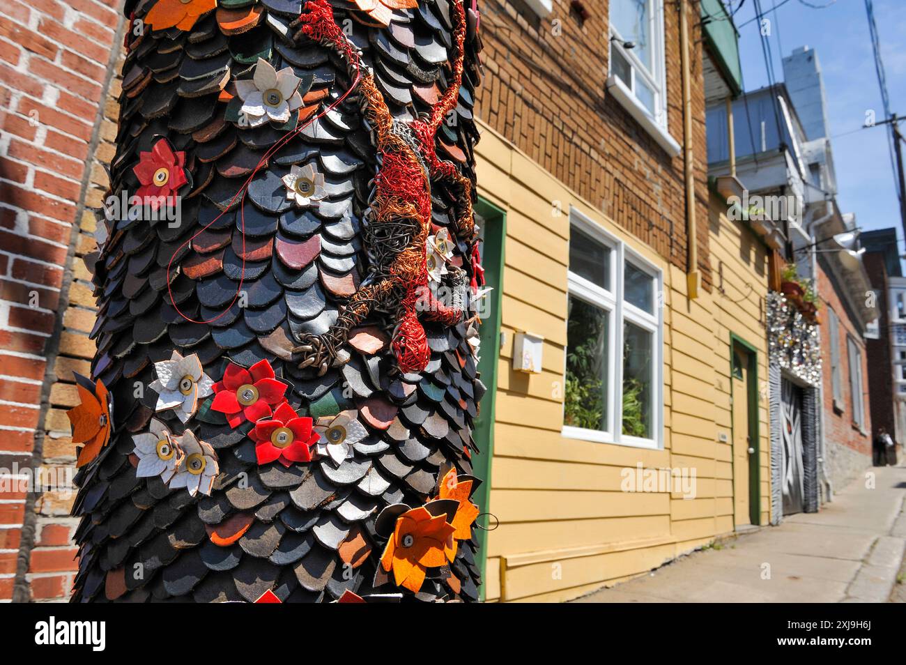 Street art di Ste-Claire Street nel quartiere di St-Jean-Baptiste, dell'artista visuale Sylvain Michaud, Quebec City, Provincia di Quebec, Canada, North Ame Foto Stock