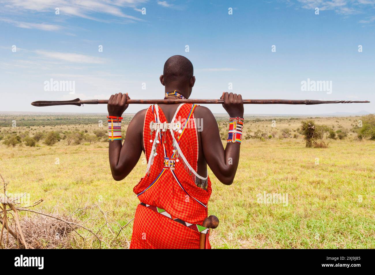 Maasai con lancia nel cespuglio, ranch Lualenyi, Mwatate, Kenya, Africa orientale, Africa Copyright: NicoxTondini 765-2499 Foto Stock