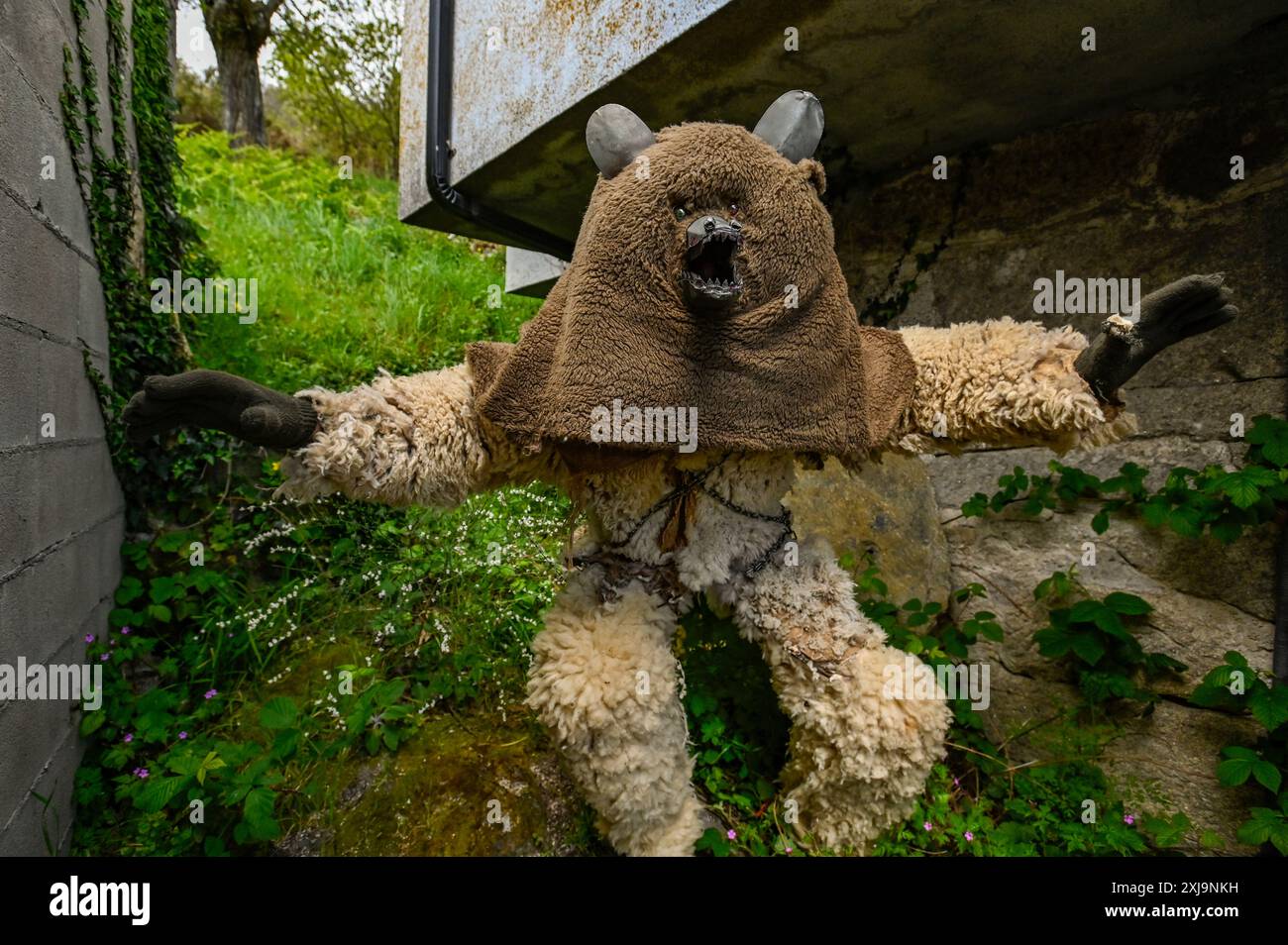 L'Orso di Entroido de Sande, celebrato a Sande, Ourense, è una figura affascinante profondamente radicata nelle antiche tradizioni. Questo personaggio, ricoperto di pelliccia e spesso accompagnato da un custode, simboleggia lo spirito selvaggio della natura e il ciclo delle stagioni. Nata dai rituali pre-cristiani, la presenza dell'Orso nei festeggiamenti rappresenta il trionfo dell'inverno e l'accoglienza della primavera. L'Entroido de Sande è una vibrante celebrazione del patrimonio culturale, che riunisce la comunità in una tradizione gioiosa e significativa. Foto Stock