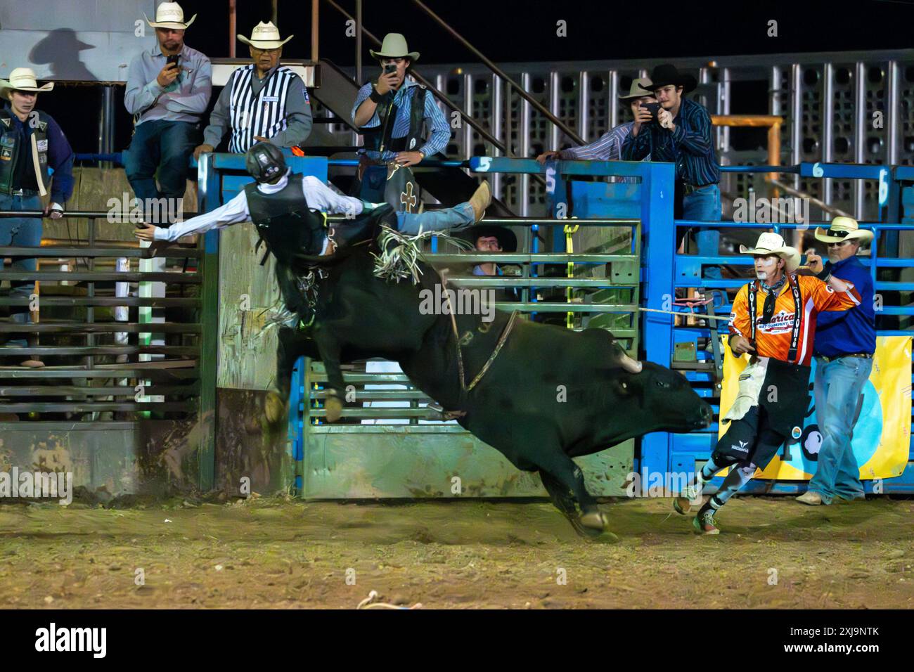 Un cowboy professionista del rodeo viene colpito da un evento di cavalcatura di toro in un rodeo in una piccola città dello Utah rurale. Il clown del rodeo/caccia al toro Foto Stock