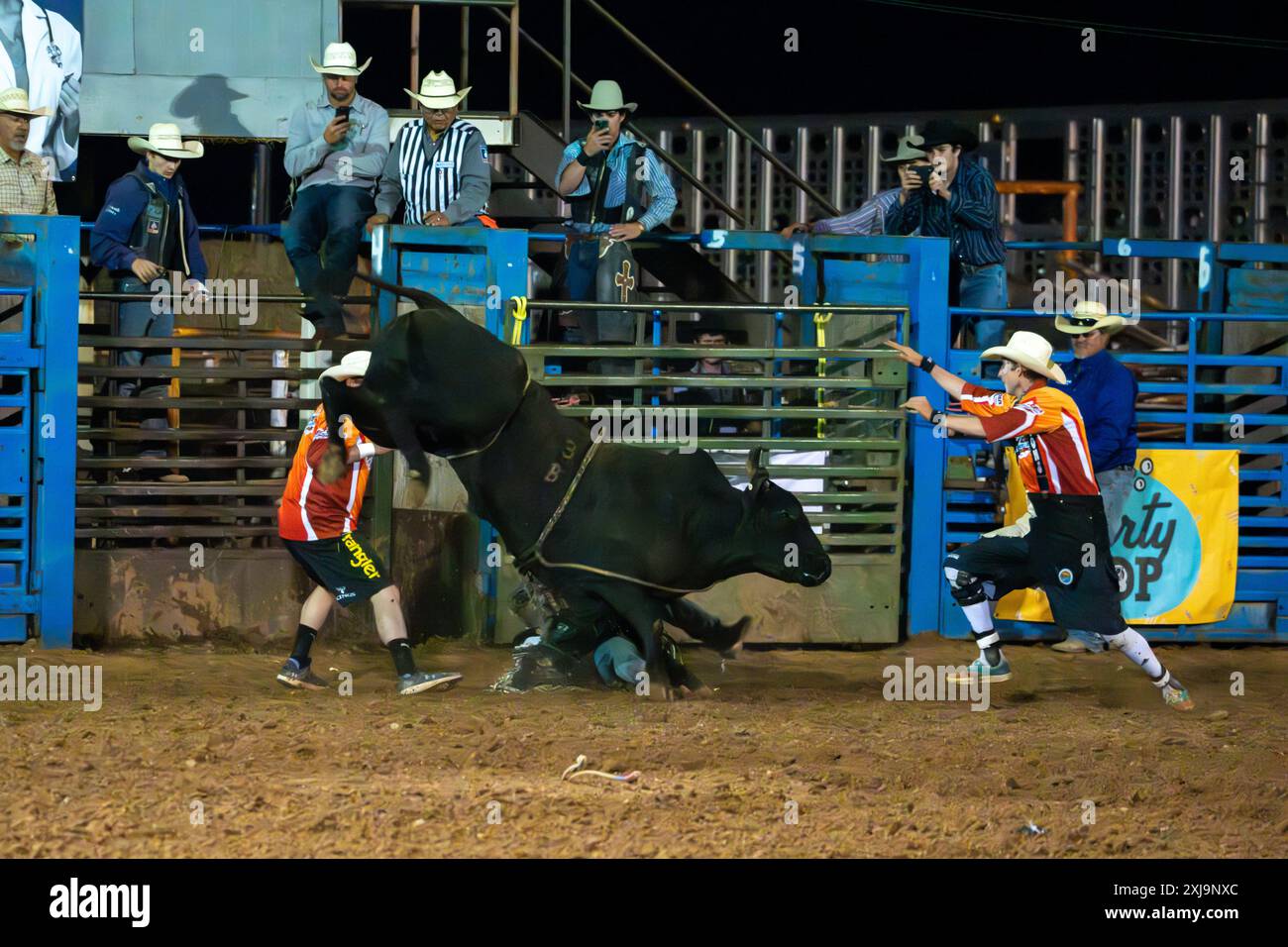 Un cowboy professionista del rodeo viene colpito da un evento di cavalcatura di toro in un rodeo in una piccola città dello Utah rurale. Il clown del rodeo/caccia al toro Foto Stock