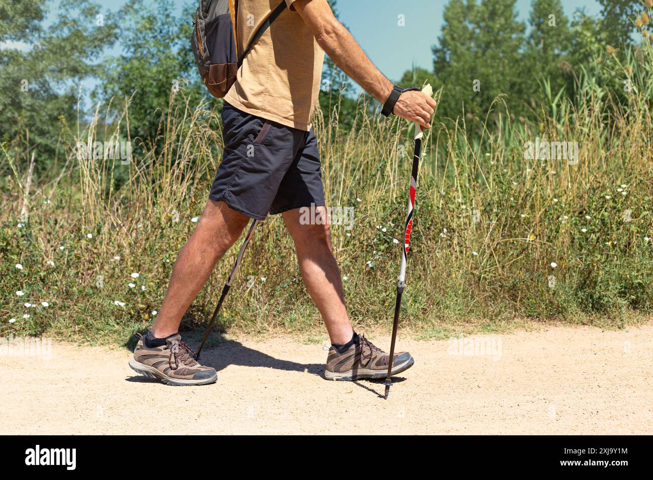Un uomo è su un sentiero facendo sport camminando con i suoi bastoncini da trekking. Indossa pantaloncini corti, una t-shirt, uno zaino e scarpe da trekking. Foto Stock