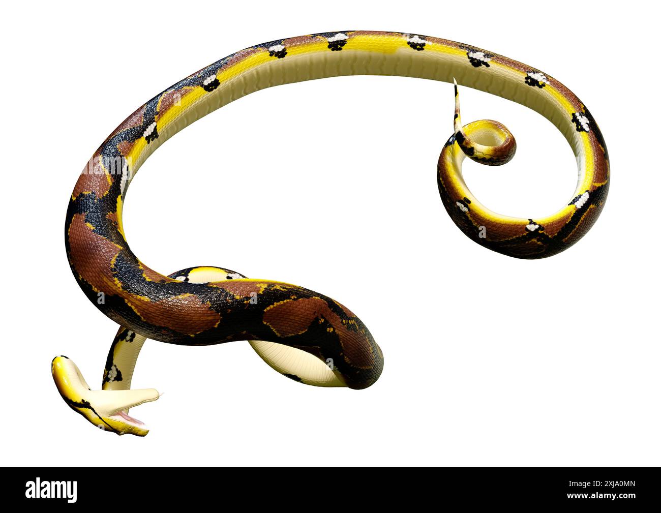 Rendering 3D di un pitone reticolato o reticulatus di Python, una specie di pitone che si trova nel sud-est asiatico Foto Stock
