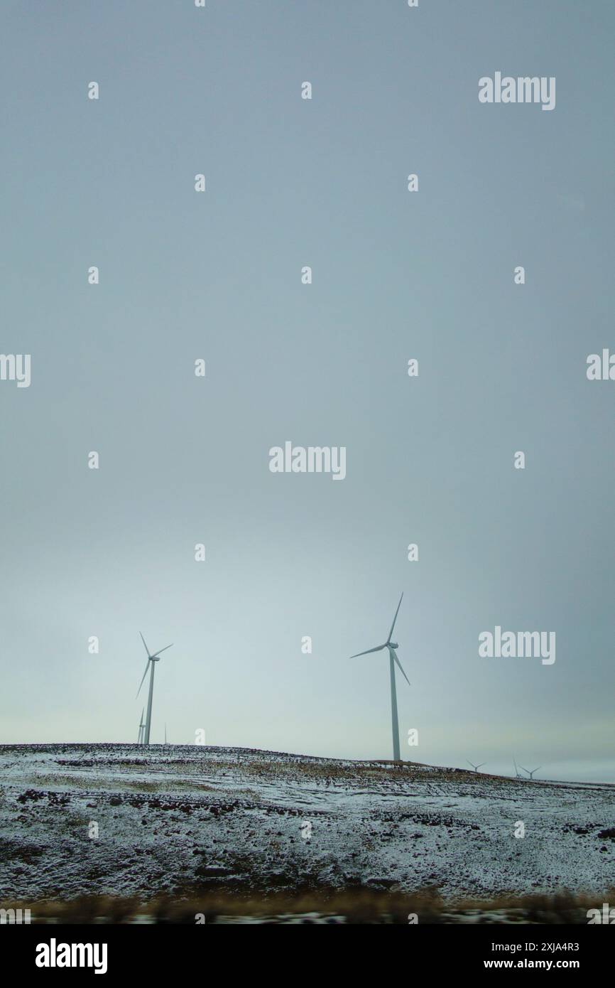Turbine eoliche, Wild Horse Renewable Energy Center, Kittitas. Foto Stock