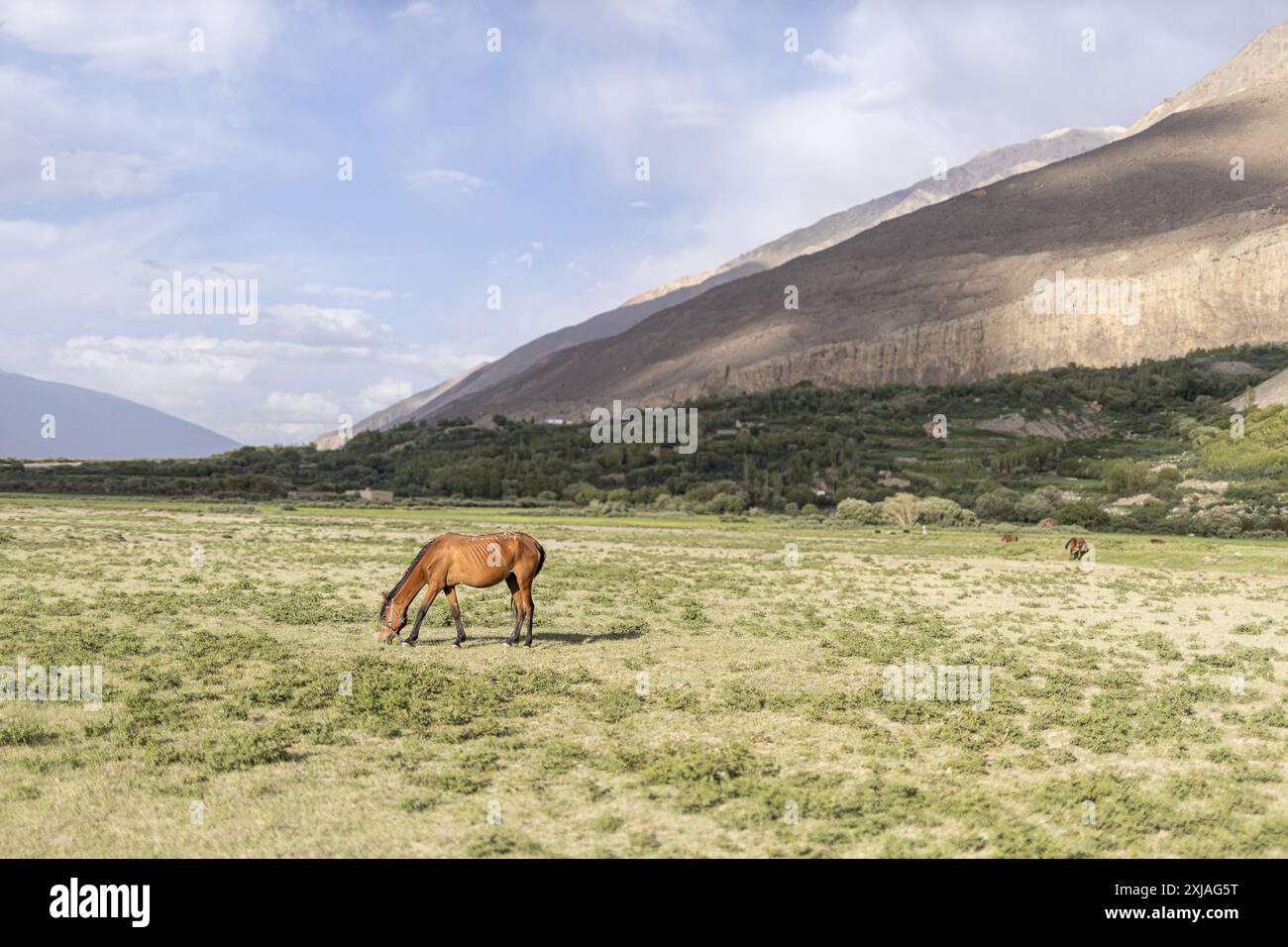 La foto scattata è relativa alla provincia di Badakhshan - Afghanistan Foto Stock