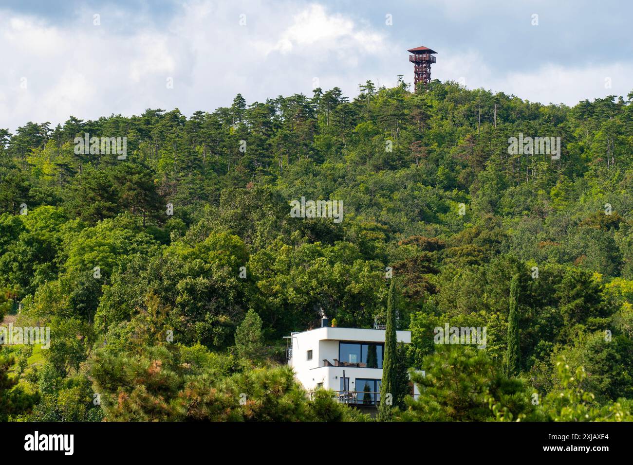 Una collina coperta da una foresta verde con una villa moderna e un punto panoramico Foto Stock