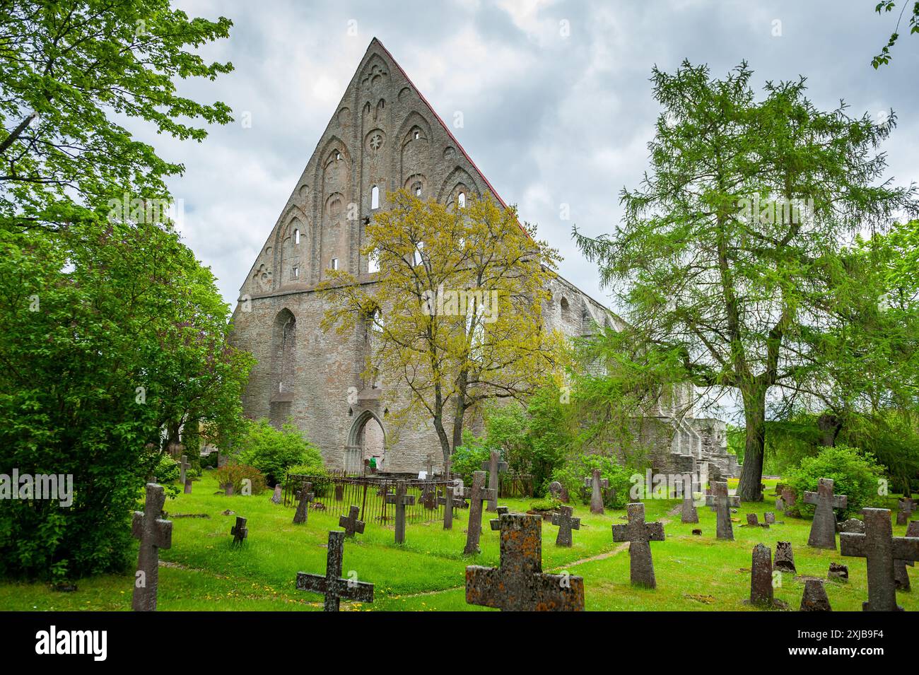 Vista dell'edificio principale del monastero medievale in rovina. Rovine del convento di St. Bridget a Tallinn, Estonia. Foto Stock