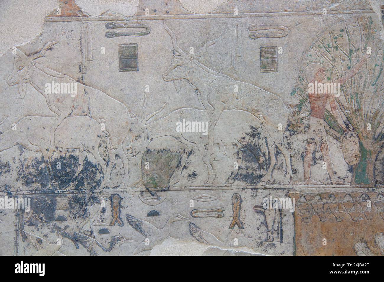 Bassorilievo da frammenti di pareti di antilopi e uccelli. Originariamente nel Tempio del Sole di Nyuserre INI. Museo Egizio. Berlino, Germania. Foto Stock