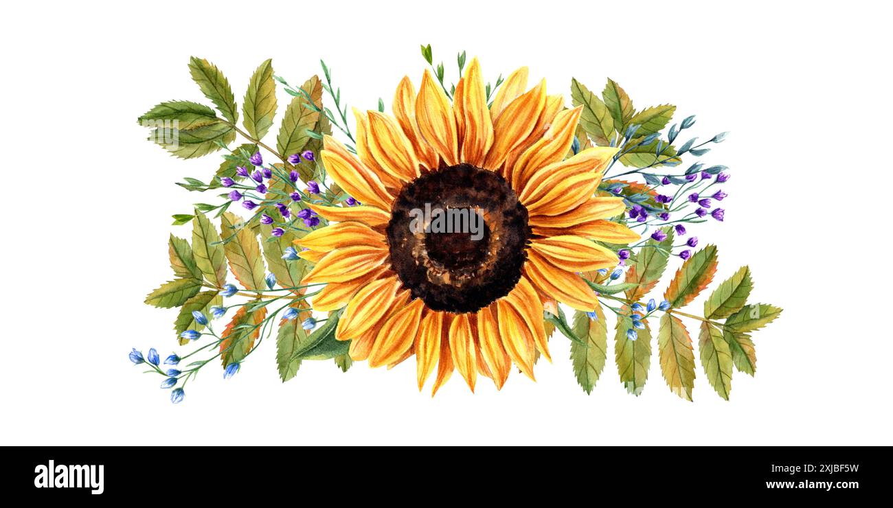 Girasole, erbe e fogliame autunnale. Vibranti girasoli circondati da foglie verdi lussureggianti e delicate fioriture viola. Illustrazione acquerello Foto Stock