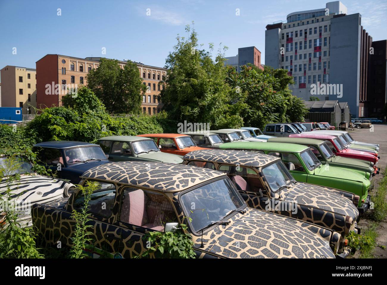 Le Trabant sono prodotte tra il 1957 e il 1991 dalla VEB Sachsenring Automobilwerke Zwickau, azienda produttrice di automobili della Germania Est, utilizzata per viaggi turistici a Berlino. Foto Stock
