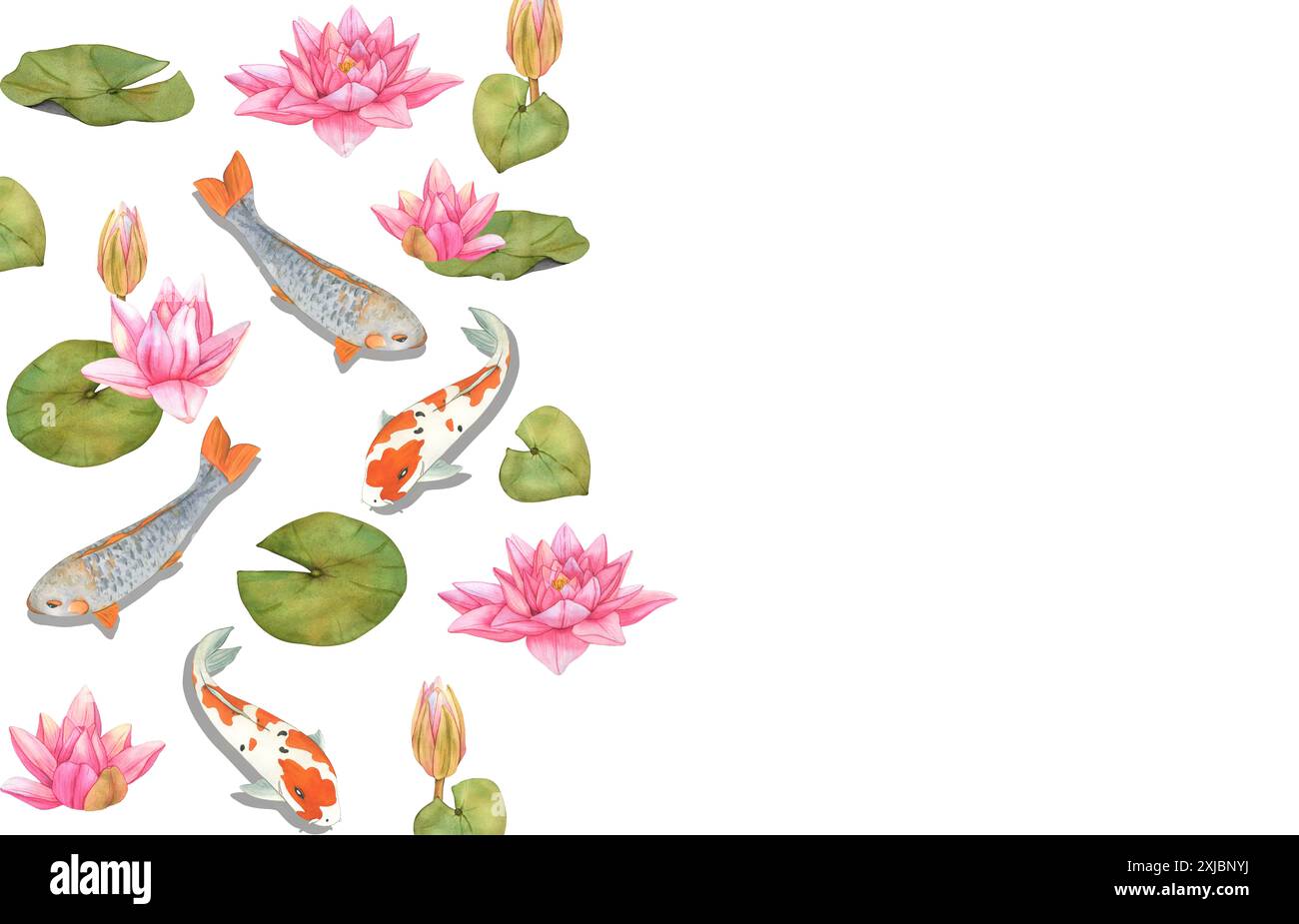Carpe Koi e fiori di loto. Banner. Illustrazione acquerello. Sfondo asiatico orientale disegnato a mano con pesci arcobaleno. Foto Stock