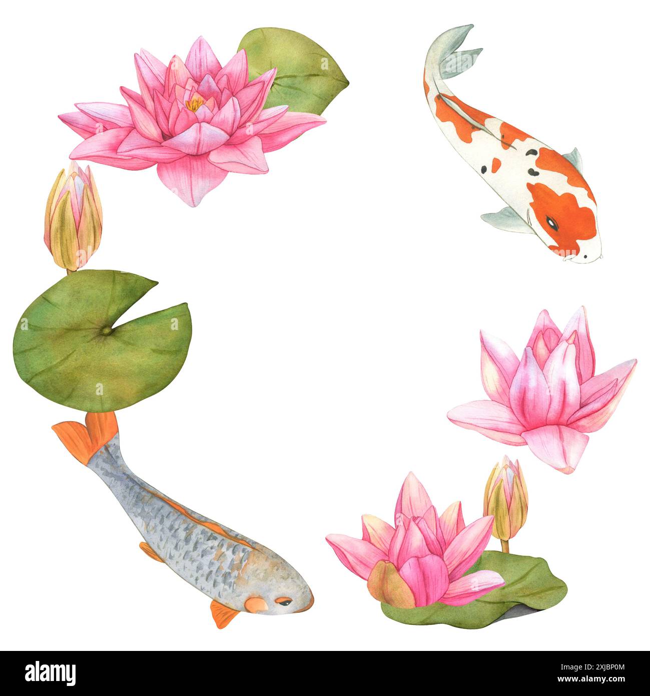 Carpe Koi e fiori di loto. Telaio. Illustrazione acquerello. Sfondo asiatico orientale disegnato a mano con pesci arcobaleno. Foto Stock