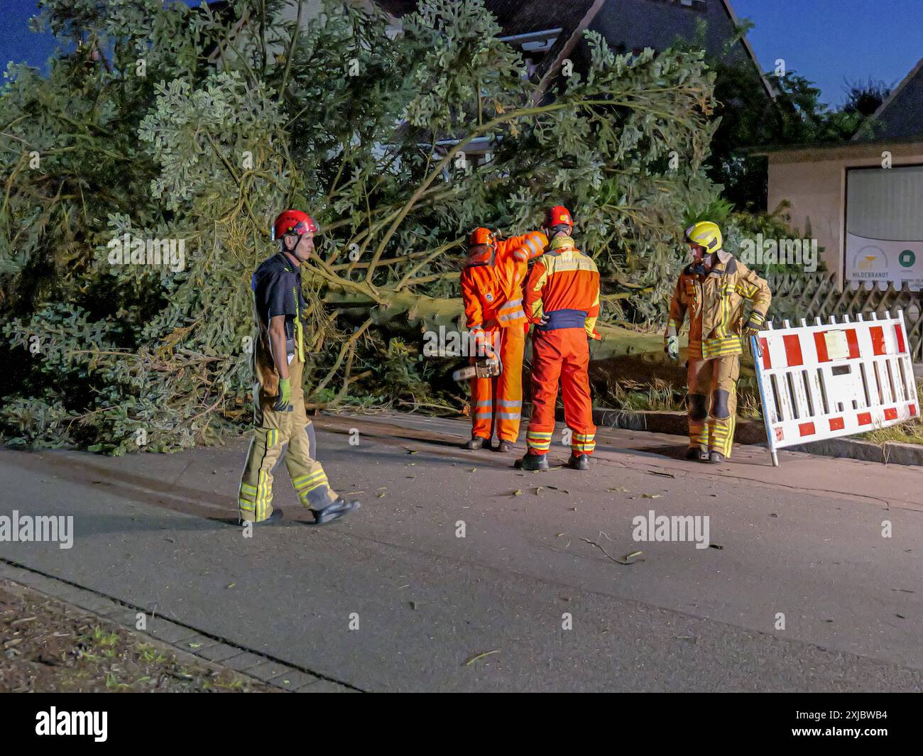 Baumfällung nach Blitzeinschlag die Feuerwehr Hannover musste eine 5,2 Tonnen schwere Douglasie nach einem Blitzeinschlag unter Sicherung eines Feuerwehrkrans am Uslarplatz in Hannover-Bothfeld fällen. *** Abbattimento degli alberi dopo un fulmine i vigili del fuoco di Hannover hanno dovuto cadere un abete Douglas di 5,2 tonnellate dopo un fulmine mentre si assicuravano una gru dei vigili del fuoco a Uslarplatz ad Hannover Bothfeld Copyright: xBerndxGüntherx Foto Stock