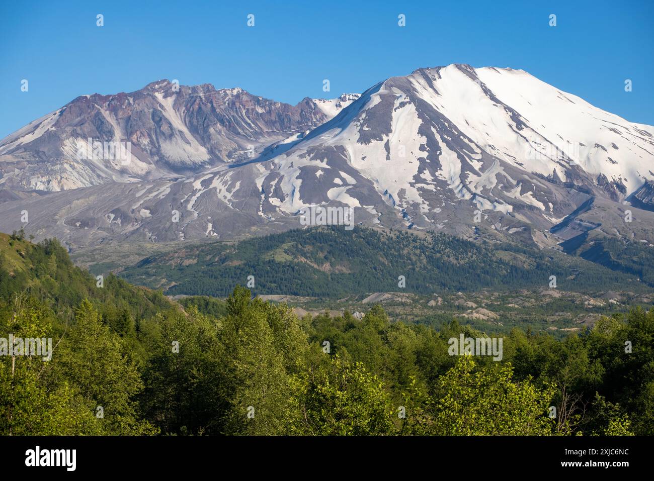 Mount St. Helens , Mount St. Helens National Volcanic Monument è uno stratovulcano attivo situato nello stato di Washington, nel Pacifico nord-occidentale Foto Stock