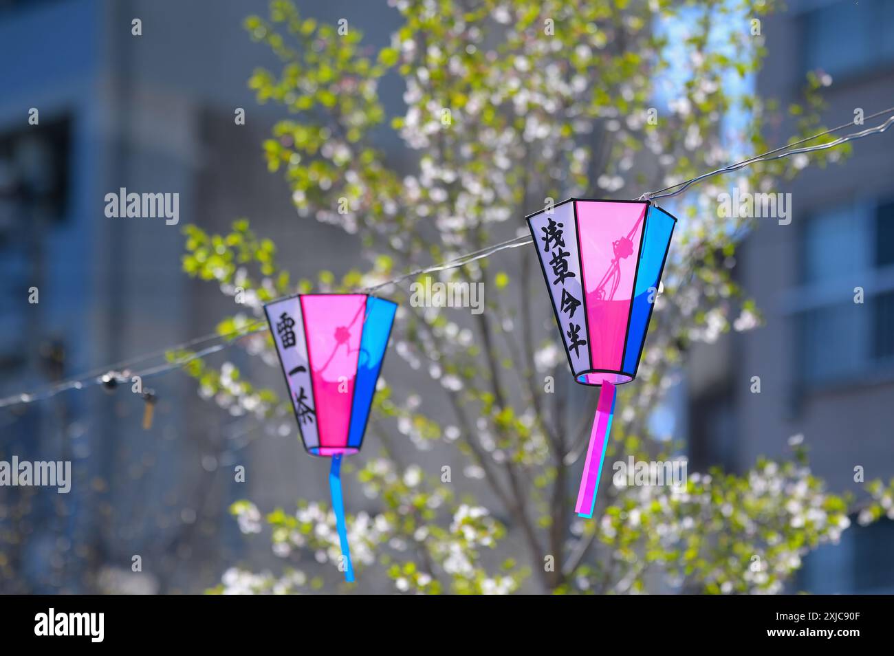 Sumida Park durante la bella stagione dei fiori di ciliegio, Tokyo Asakusa JP Foto Stock