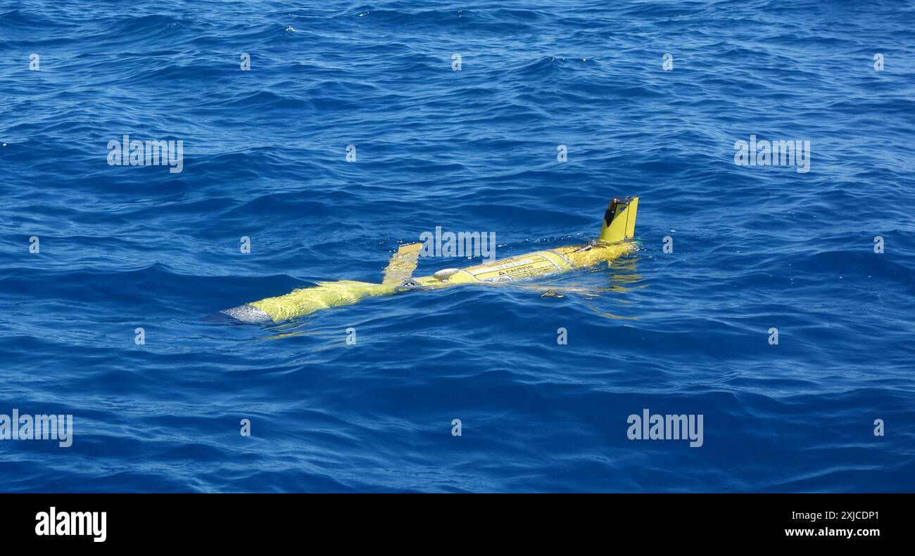 Aliante Slocum sulla superficie con adesivo di attenzione visibile, Great Barrier Reef Marine Park, queensland, Australia. Nessuna PR Foto Stock
