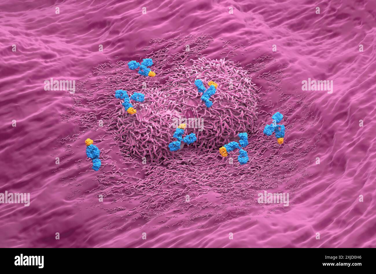Trattamento con anticorpi monoclonali nel cancro del fegato - Vista isometrica illustrazione 3D. Foto Stock