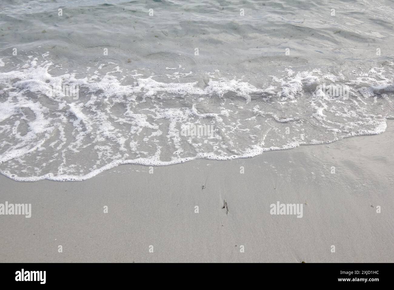 Un'onda si sta avvicinando alla spiaggia sabbiosa. Foto Stock