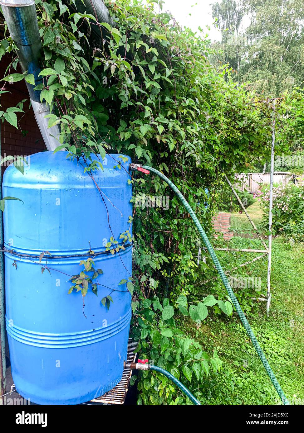 serbatoio di raccolta dell'acqua sotto il tetto con uno scarico. Architettura per la raccolta dell'acqua piovana. Foto verticale. Foto Stock