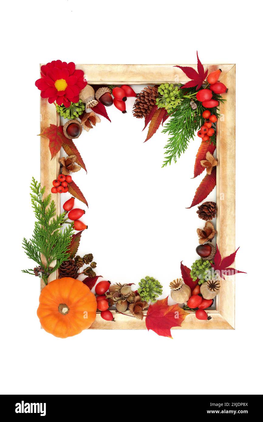 Festa del raccolto Autunno autunno Halloween confine naturale. Design vivace e colorato su cornice bianca rustica. Foto Stock