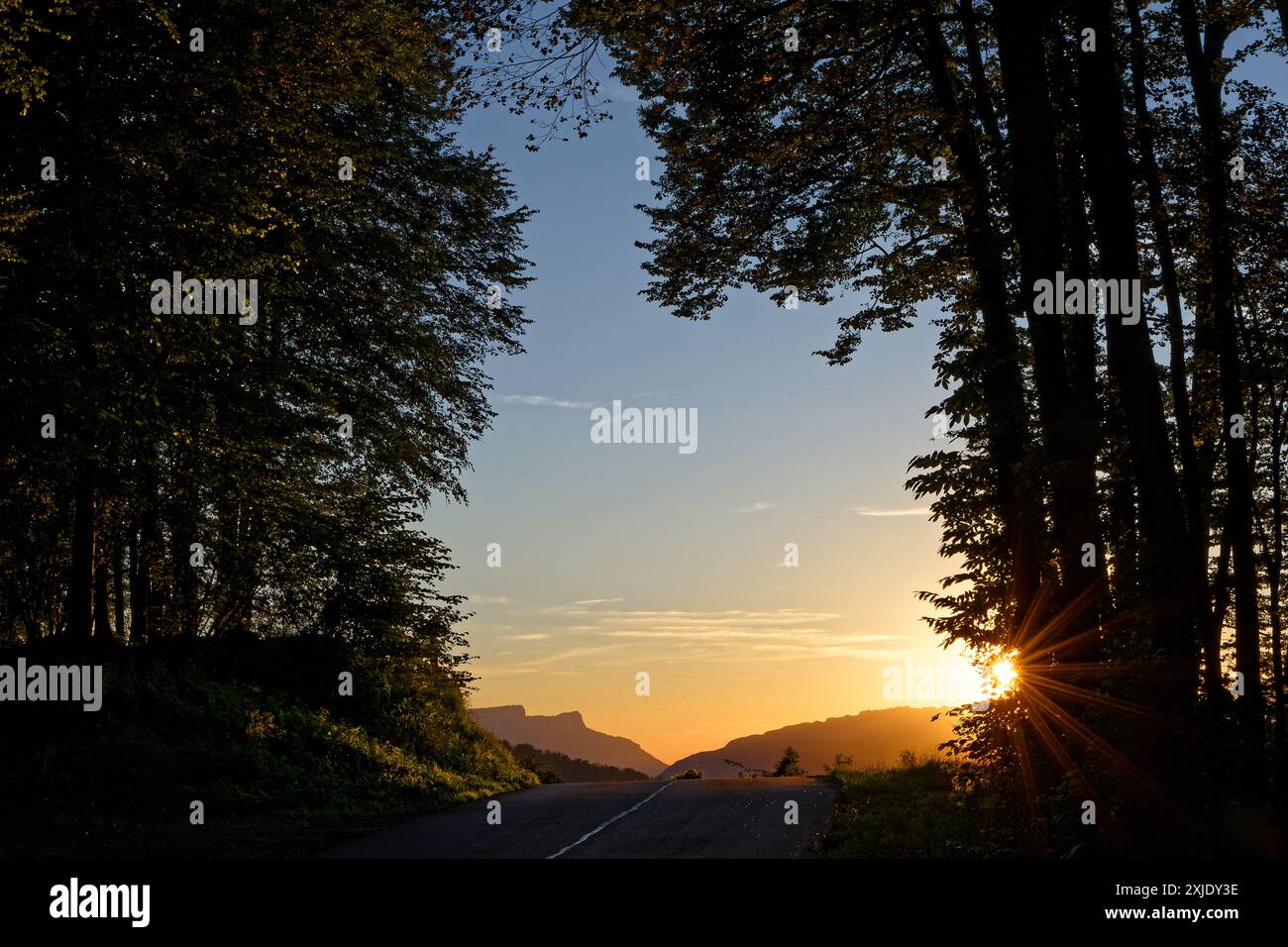 Tramonto su una strada di passo di montagna attraverso la cornice della foresta delle alpi francesi Foto Stock