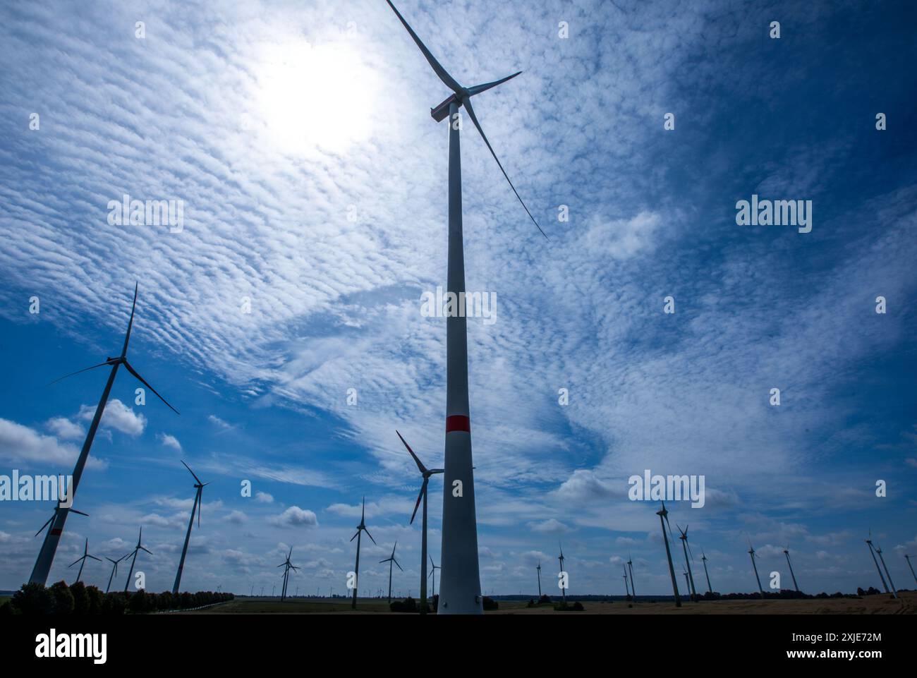 Kossebade, Germania. 18 luglio 2024. Turbine eoliche che girano in un parco eolico. In una conferenza stampa online, l'Associazione tedesca per l'energia eolica fornisce informazioni sullo stato dell'espansione dell'energia eolica in Germania. Crediti: Jens Büttner/dpa/Alamy Live News Foto Stock