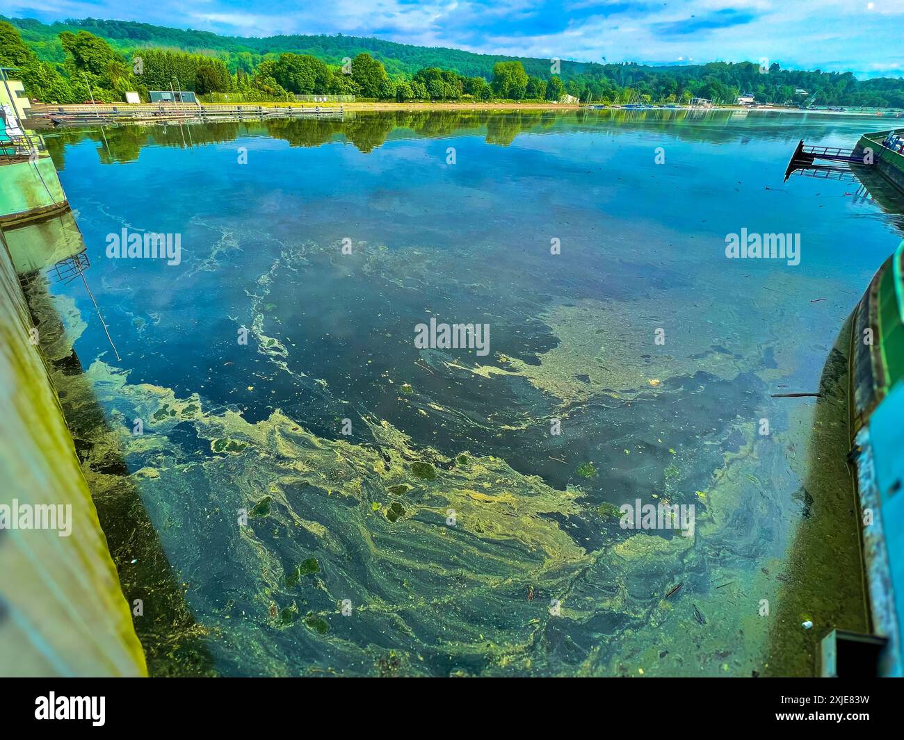 Symbolbild: Vedi, Enten, Natur, Umwelt, Wasserqualität, Gewässerschutz, Blaualgen, Algenblüte, Umweltverschmutzung, Wasseroberfläche Sperrung für Schifffahrt, Sperrung für Schwimmer, Gesundheitsgefahr, Badeverbot, Algen, ökologische Krise, Umweltschutz, nachhaltige Entwicklung, Städtische Gewässer, Klimawandel, Erholungssperre, Wasserökosystem, Toxische Algen, Wasserblüte, Wasserpflanzen, Naherholung, Vogelbeobachtung, Klimakrise, ökologisches Gleichgewicht, Naturschutzgebiet, Städtische Natur, Algenwachstum, Wasserressourcen, sauberes Wasser, ökologische Gesundheit, Klimaresilienz, Umweltbewu Foto Stock