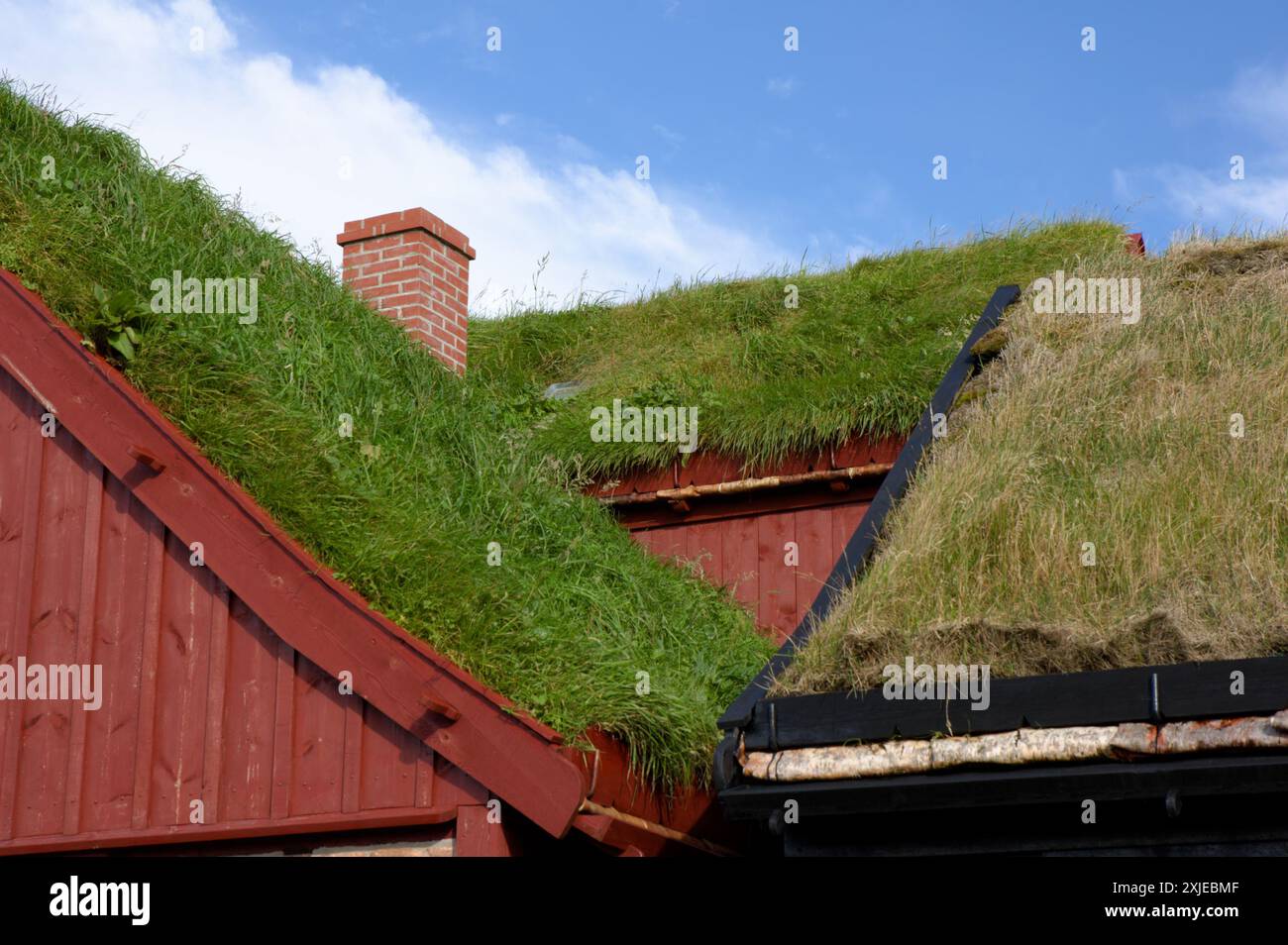 Turf edifici con tetti a Torshavn, Isole Faerøer Foto Stock